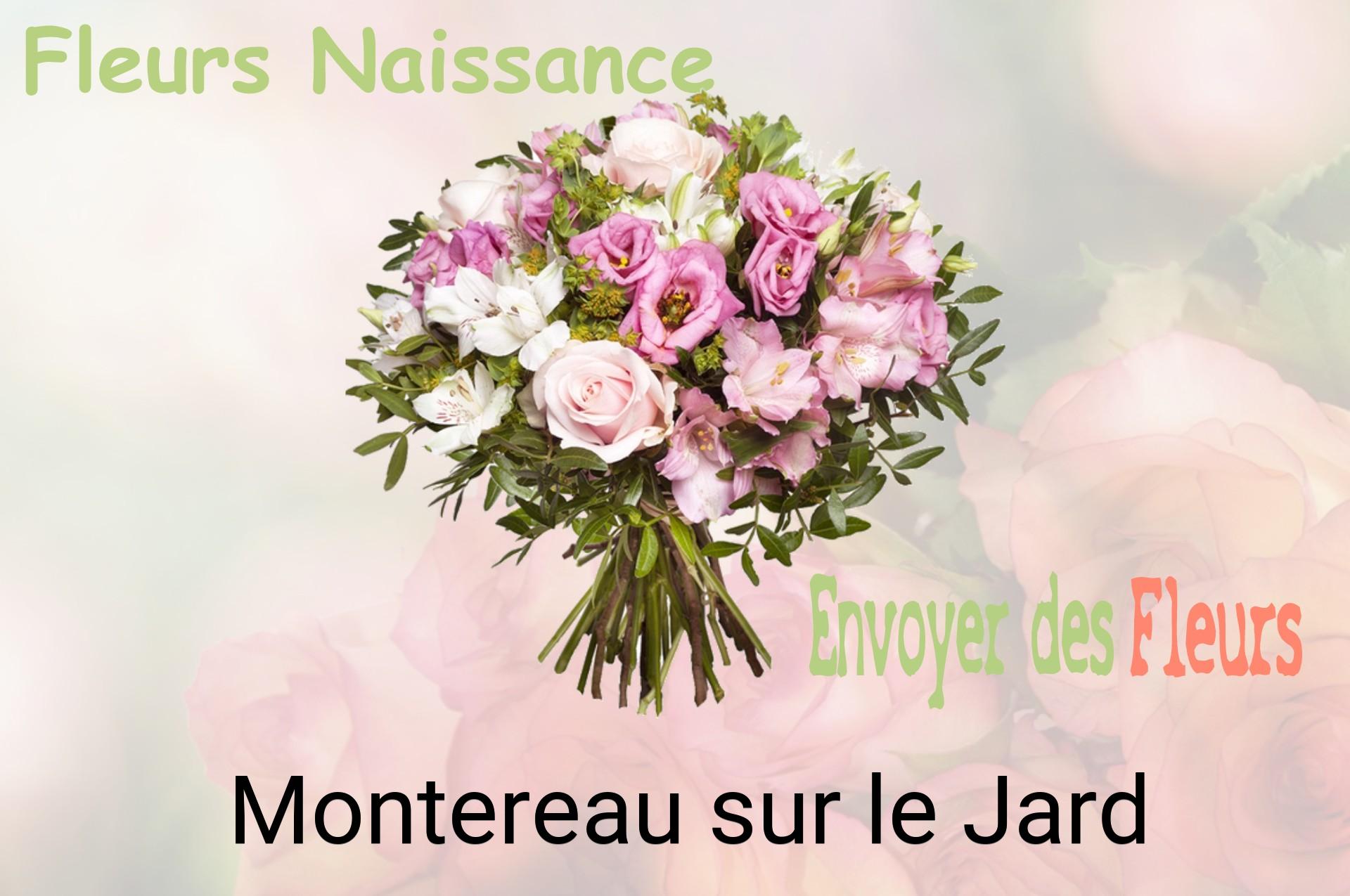 Bouquet de fleurs de naissance livré à Montereau-sur-le-Jard